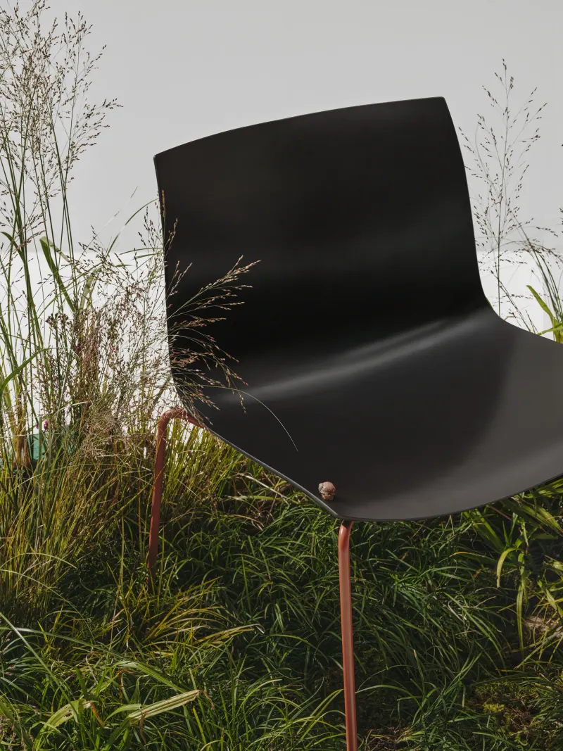 Layered paper shell captures carbon while reducing overall environmental impact